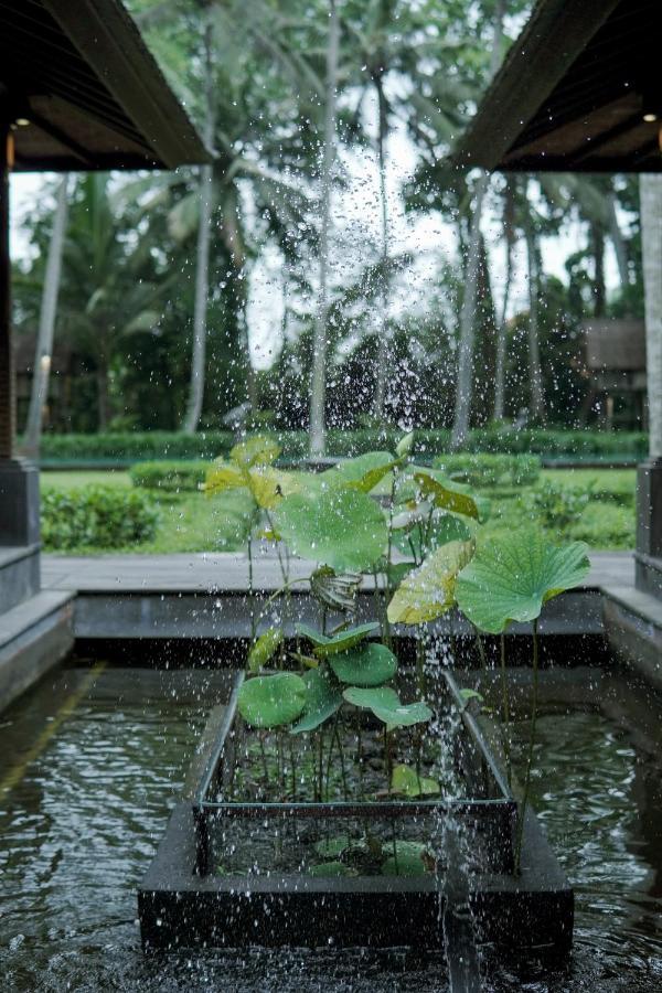 Villa Puri Tupai Ubud Exteriér fotografie